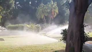 Wenn der Garten mit Wasser bewässert wird genießen Sie eine atemberaubende Aussicht [upl. by Eelyek]