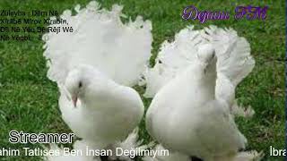 Dejavu🕊 FM • Canlı İstek Yayını  Online Radyo Dinle [upl. by Savill820]