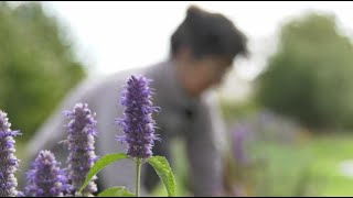 Marché fermier de lOise  le jardin aromatique de Valérie [upl. by Zedekiah]