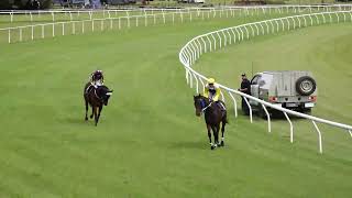 Mareeba 16032024 Race 4 [upl. by Golter]