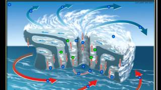 Doorsnede van een orkaan  oefening voor aardrijkskunde  luchtbewegingen in een tropische cycloon [upl. by Anahsed79]