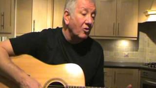 Fields of Athenry  Paddy Reilly  The Dubliners  acoustic cover [upl. by Wivinah]