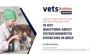 4 INT  10 Key Questions about Osteochondritis Dissecans in Dogs [upl. by Gurias29]