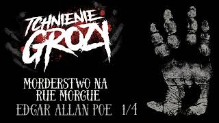 205 Edgar Allan Poe  Morderstwo na Rue Morgue 14 [upl. by Suinuj]