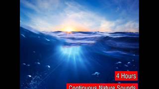 Amazing Natural Sounds of the Sea Recorded in 3D Surround Sound [upl. by Zed55]