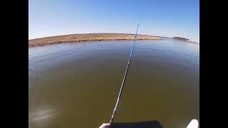 Pamlico sound fishing [upl. by Flor]