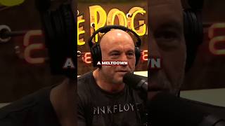 Joe Rogan MELTDOWN 🤬 JRE Podcast Robert Epsteinjoerogan podcast shorts [upl. by Helse]