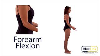 Forearm Flexion Extension [upl. by Aicemat]