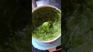 Green chutney reciperecipesimplechutney2minrecipereelsfooddhonepatabatatomato dhonepata bata [upl. by Rape656]