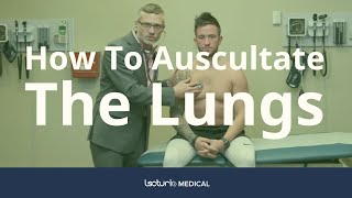 How To Auscultate The Lungs Differentiating Breath Sounds  Physical Examination [upl. by Llib]