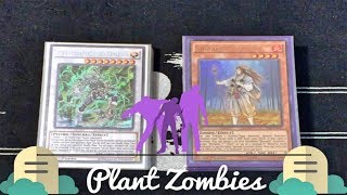 YUGIOH BEST Plant Zombies Deck Profile June 2017 [upl. by Eliezer735]