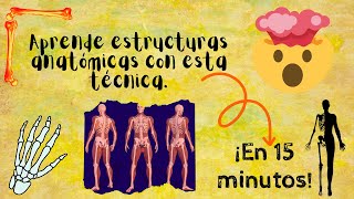 Aprende estructuras Anatómicas en 15 min con esta técnica  Anatomía  Doctologo [upl. by Aesoh]