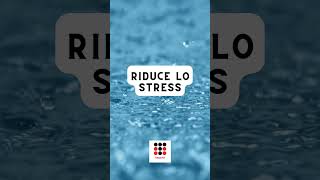 La Meditazione Riduce lo Stress Scopri i Benefici per la Mente [upl. by Herb]