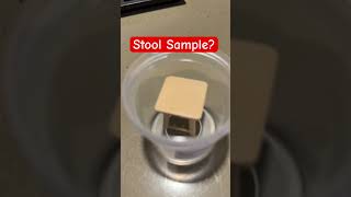 Stool Sample lol [upl. by Nylirej]