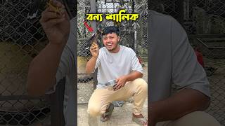 বন্য শালিক পাখির অবাক করা আচরণ birds funnyanimals ornofpets [upl. by Suiradal]