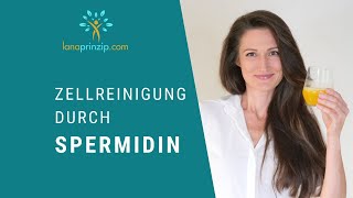 Langlebigkeitsforschung Spermidin als AutophagieBooster Anwendung und Wirkung von Spermidin [upl. by Enelav]