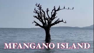 MFANGANO ISLAND BEYOND BELIEF [upl. by Slack]