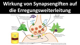 Wirkweise von Synapsengiften  Nervengiften auf die Erregungsweiterleitung Neurobiologie 55 [upl. by Nnayelsel]