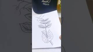 pisum sativum plant drawing ll drawing painting art shorts comments below what I drowning next [upl. by Ellimak833]