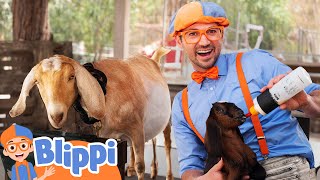 Blippi Visits a Baby Animal Farm  Learn About Animals  Animal Videos for Kids [upl. by Hosea414]