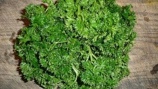 How To Juice Parsley Recipe [upl. by Darlene850]