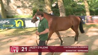 Sprinter Sacré Show 2021  Lot 21  Jazzy DAlene [upl. by Carmena]