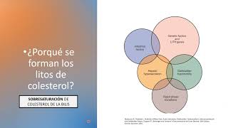 Colelitiasis Coledocolitiasis Colangitis Colecistitis [upl. by Ettedo]