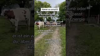 Nimm es ernst youtubeshorts goviral liebe [upl. by Allbee531]