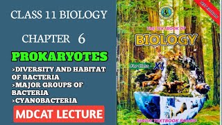 DIVERSITY IN BACTERIA AND HABITAT  GROUPS OF BACTERIA CYANOBACTERIA CLASS 11 NEW BIO SINDH [upl. by Aknayirp]