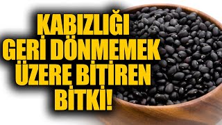 Kabızlığı geri dönmemek üzere bitiren bitki [upl. by Nnylharas]