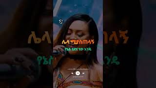 helen berhe uzaza alena helenberhe amharicmusic amhariclyrics ethiopianmusic lyric ethiopia90s [upl. by Giacamo]