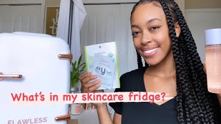 Flawless Beauty Mini Fridge Review Skincare FAVES 2020 [upl. by Hance]