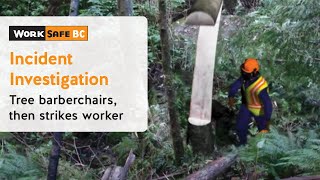 Incident Investigation Tree Barberchairs Then Strikes Worker  WorkSafeBC [upl. by Kelley]