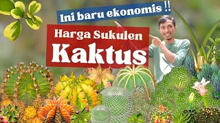 182 PILIHAN ‼️ KAKTUS SUKULEN SANSEVIERIA HARGA BARU EKONOMIS [upl. by Louls]