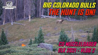 BIG COLORADO BULLS  THE HUNT IS ON  CO MUZZLELOADER ELK 2021  VLOG 2 [upl. by Ecneps298]