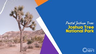 Pastel Joshua Tree Joshua Tree National Park [upl. by Whelan]