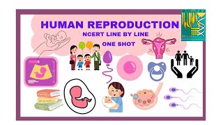 HUMAN REPRODUCTION l NCERT LINE BY LINE l ONE SHOT l NEET QUICK REVISION SERIES l [upl. by Naahsar]