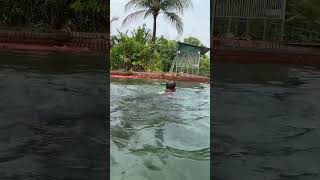 Treetop Adventure Farm Sylhet Swimming [upl. by Goat313]