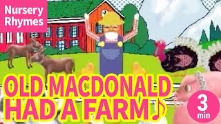 ♬Old MacDonald Had A Farm〈英語の歌〉 [upl. by Ainehta954]