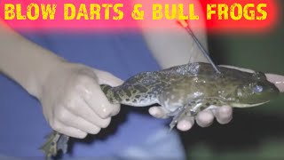 SHOOTING BULL FROGS WITH A TIM WELLS BLOW GUN [upl. by Suhail]