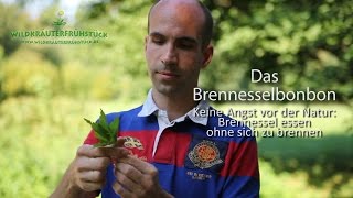 Brennessel ja – aber bitte ohne brennen [upl. by Niffirg]