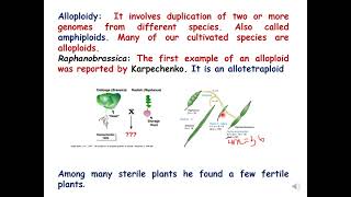 Examples of Euploidy GeneticsConceptsofgeneticsBiologyBotany [upl. by Yerg874]