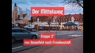 Der Mittelweg  Etappe 3 Besenfeld  Freudenstadt  November 2024 ForstwegEdition [upl. by Obaza]