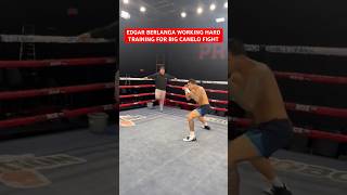 EDGAR BERLANGA WORKING HARD TRAINING FOR BIG CANELO FIGHT [upl. by Anrev]