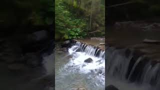 Дивовижна природа гірська річка nature Carpathians Ukraine relax [upl. by Tench]