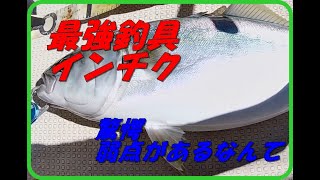 驚愕 インチクの弱点があった 松山沖釣果情報 [upl. by Yecam]