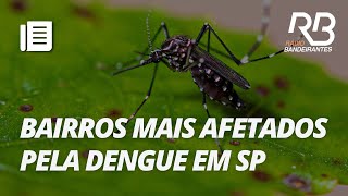 SP Confira os bairros de SP com epidemia de dengue  Primeira Hora [upl. by Lehar]