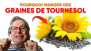 Pourquoi manger des graines de tournesol [upl. by Bedell]