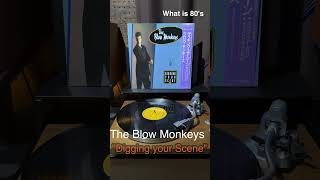 The Blow Monkeys quotDigging Your Scenequot 1986 What is 80s Choice shorts 80年代洋楽 80smusic vinyls [upl. by Georgianna]