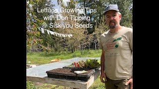 Lettuce Growing Tips with Don Tipping  Siskiyou Seeds [upl. by Gunilla143]